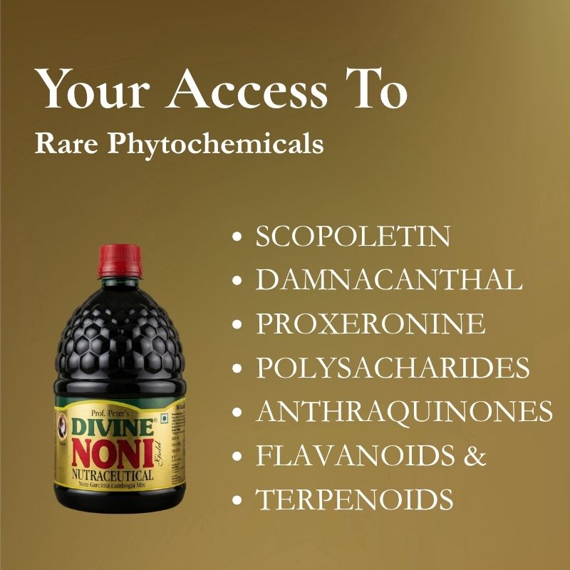 Divine Noni- Daily Wellness Drink - Image 4