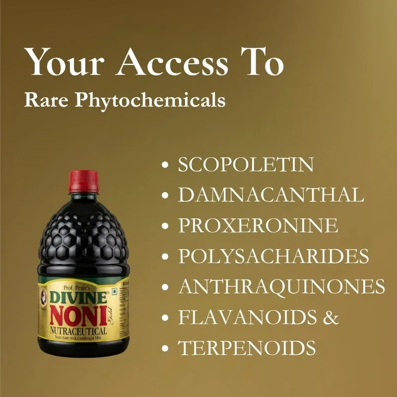 Original Divine Noni - Daily Wellness - Image 2