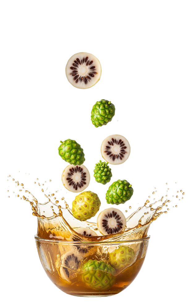 Original Divine Noni Juice india