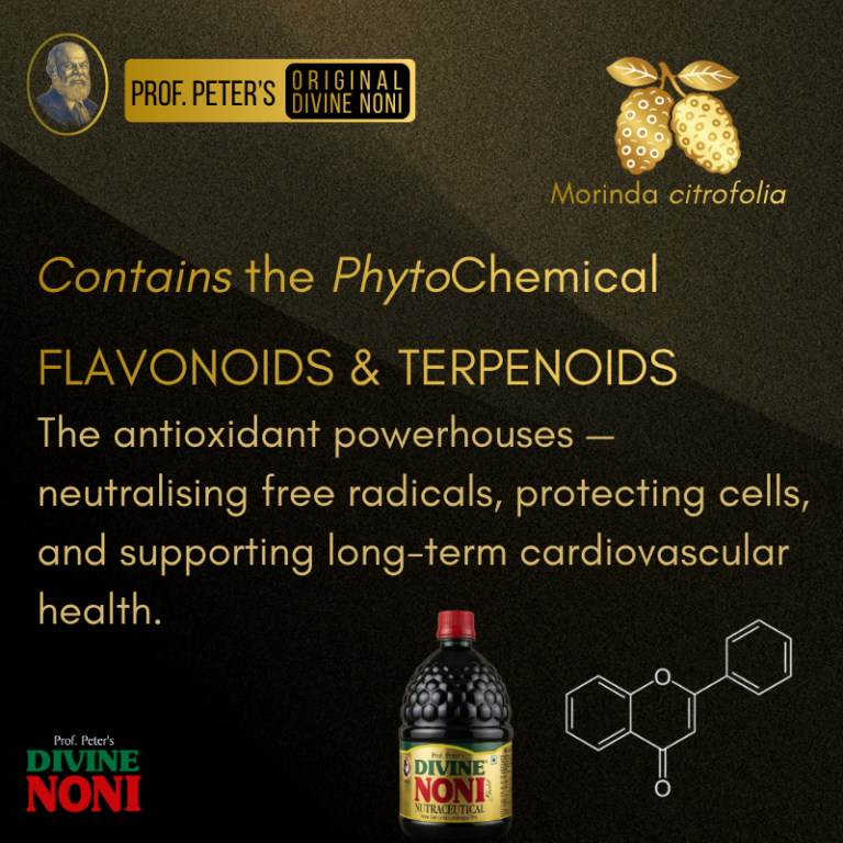 flavonoids and terpenoids divine noni juice