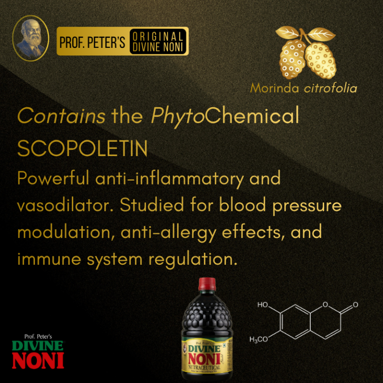 scopoletin noni juice divine noni