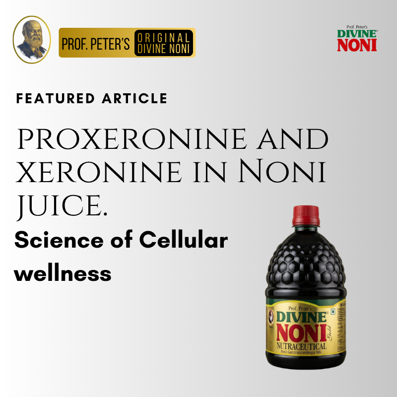 Benefits Of Noni Juice Divine Noni web images peroxeronine