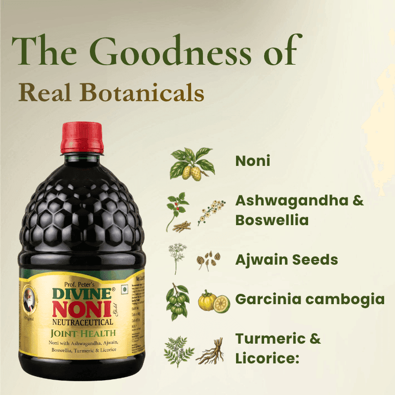 Divine Noni Joint Health - Image 2